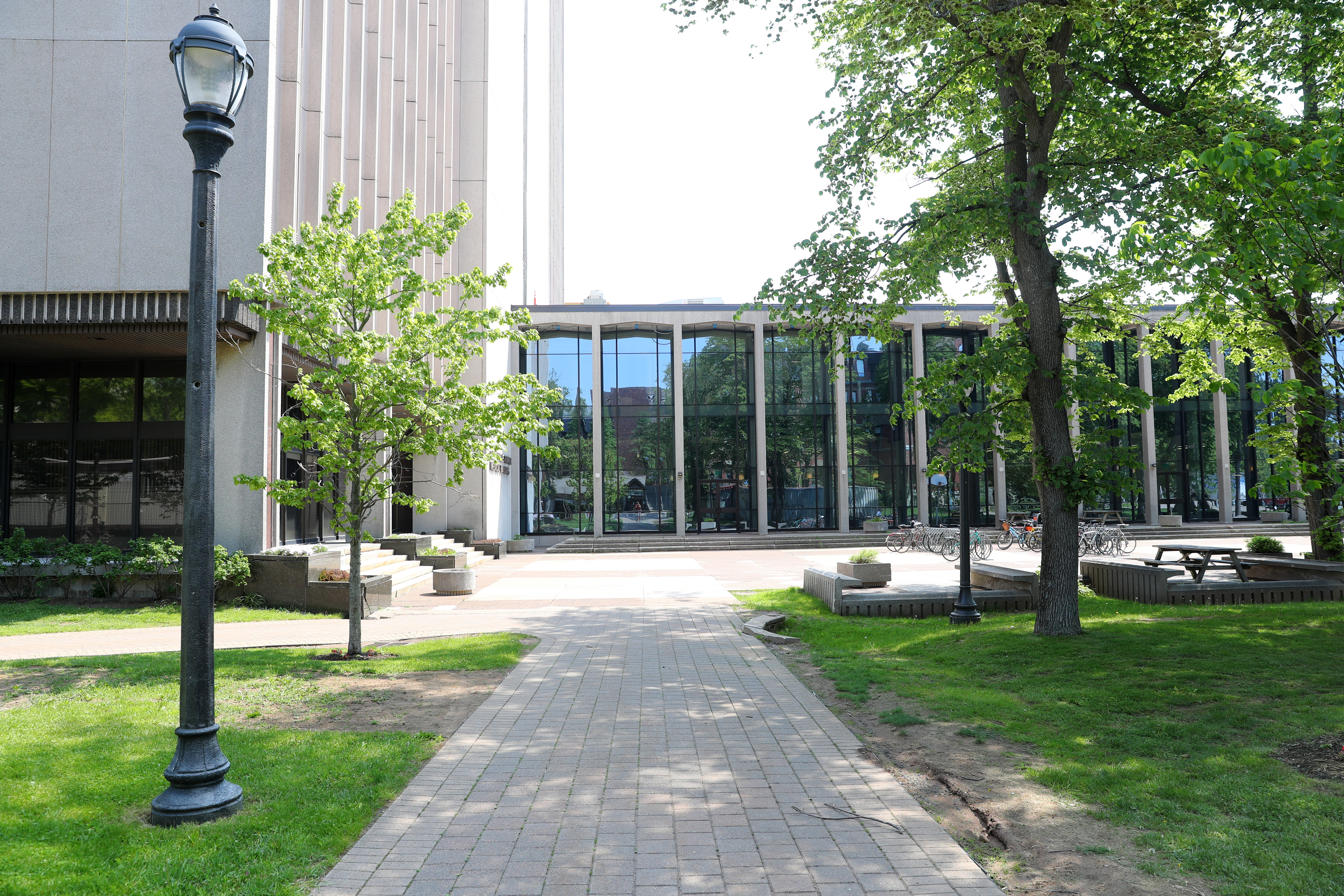 Accent Training for Professionals Dalhousie Accent Clinic Dalhousie